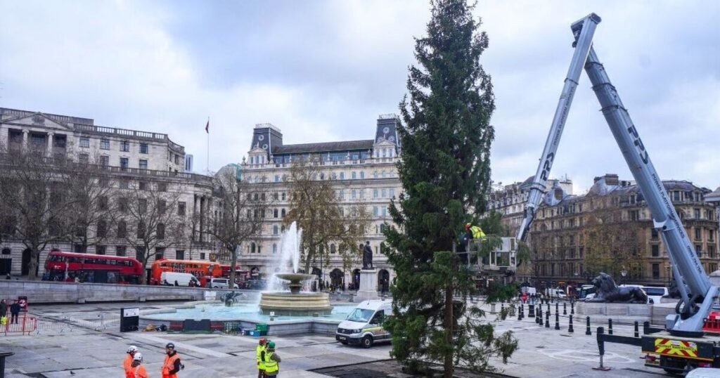 The Trafalgar Square Christmas tree : A friendly and historical bond between Norway and Great Britain